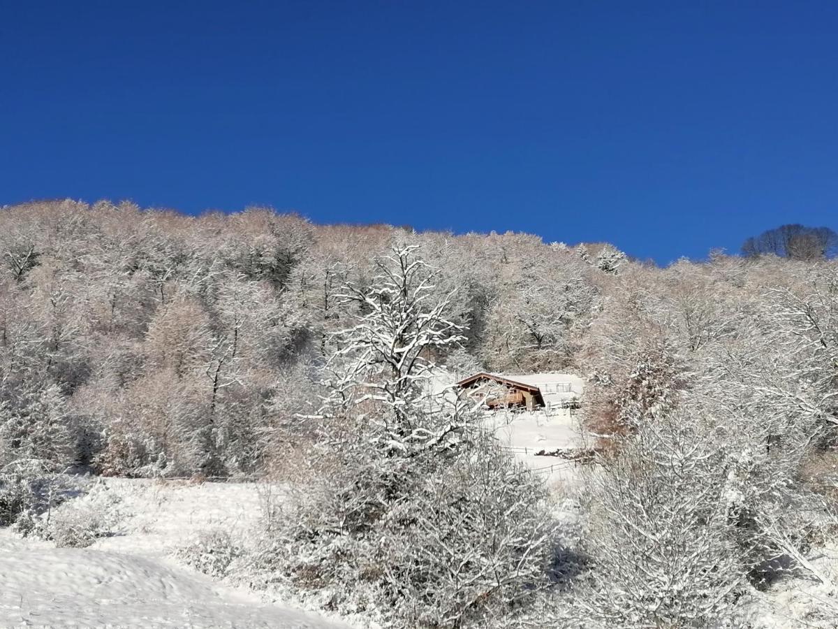 La Dimora Degli Angeli Apartment Moggio (Lecco)