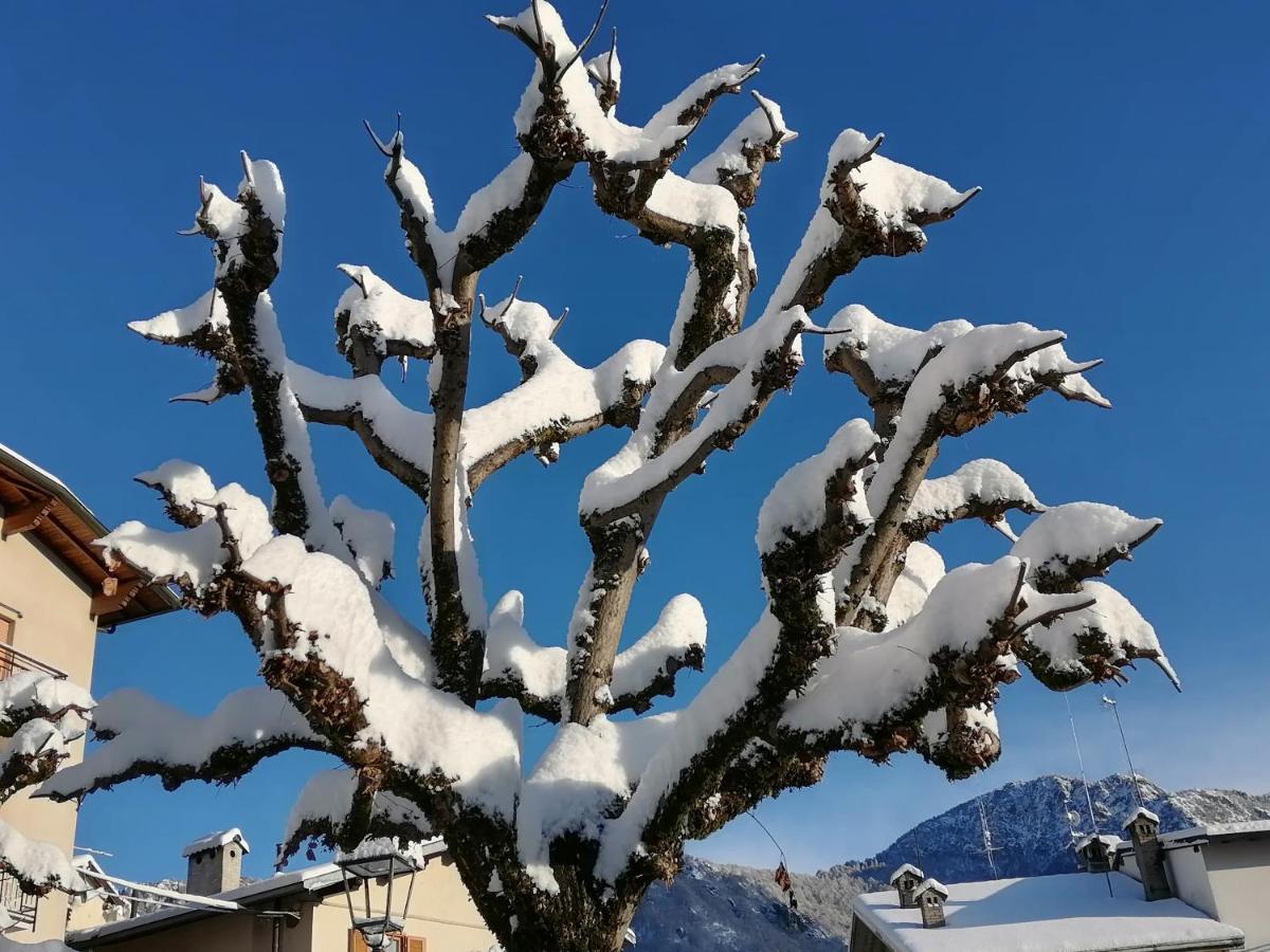 La Dimora Degli Angeli
