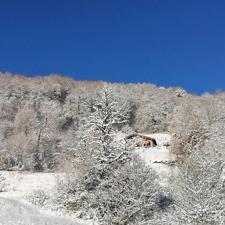 Apartamento La Dimora Degli Angeli Moggio  Exterior foto